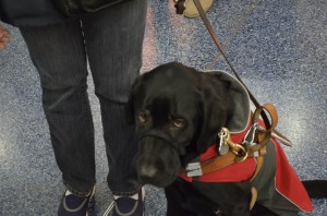 Jenny looking incredibly pitiful