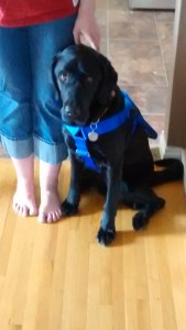 From the get-go, Jenny loved her new fashionable gear