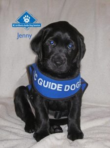 Jenny at 7 weeks old