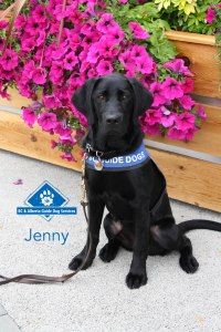 Jenny at 6 months old.