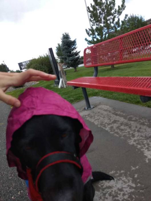 Jenny in her rain poncho, head down