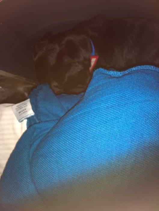 SOMEHOW Jenny fit into this tiny space!